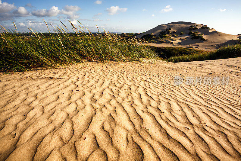 丹麦Rubjerg Knude的沙丘